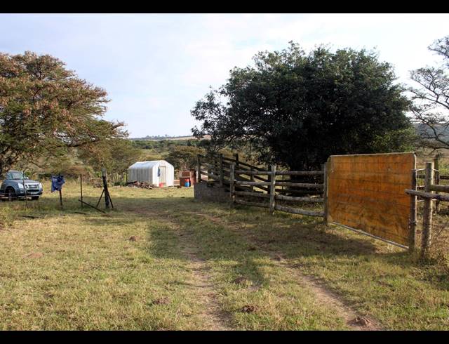 367HA FARM FOR SALE IN KOMGA